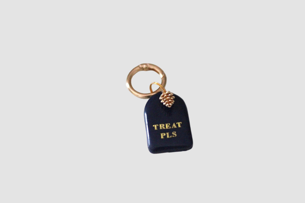 TREAT PLS tag + charm