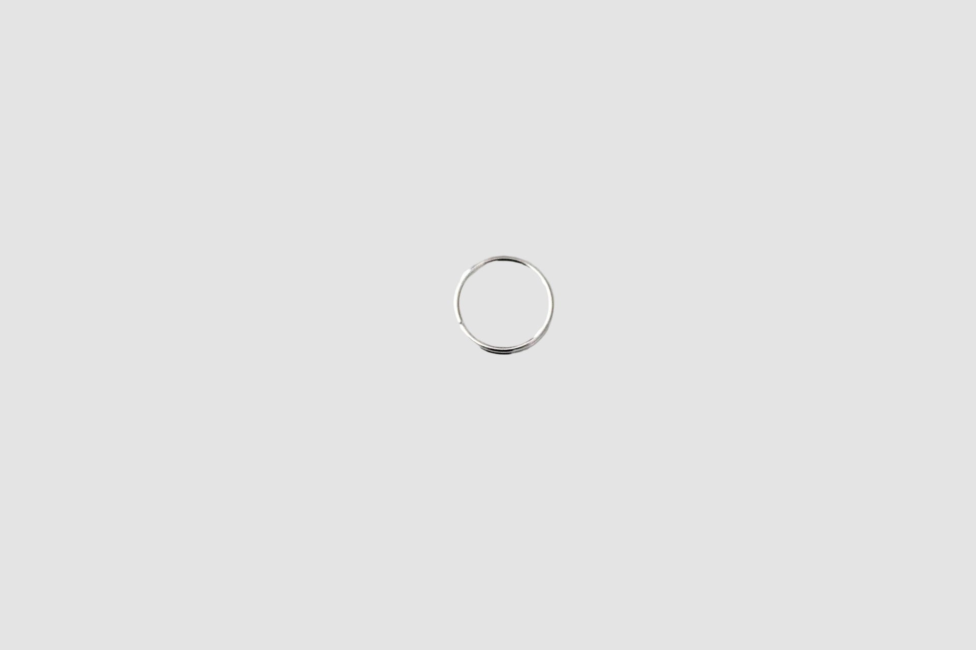 Split ring 12mm (zilver) - set van 4