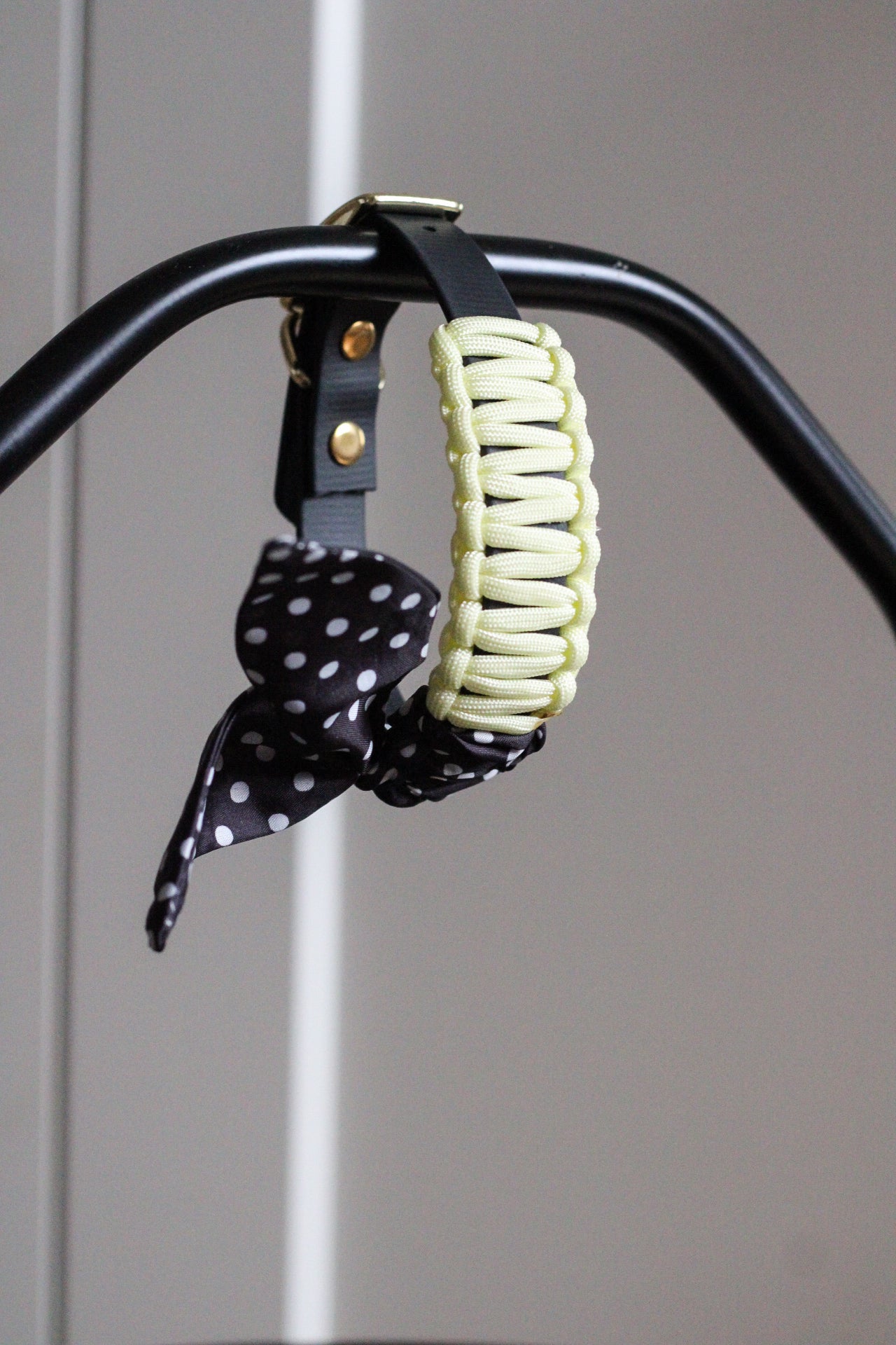 Halsband Leo