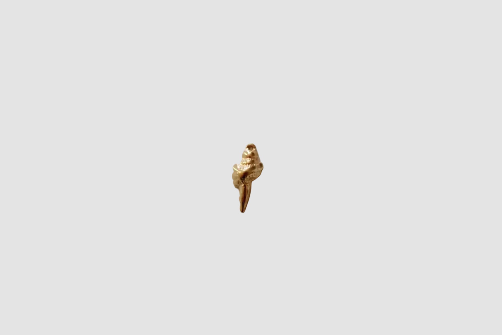 Shell